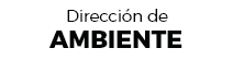 Direccion de ambiente