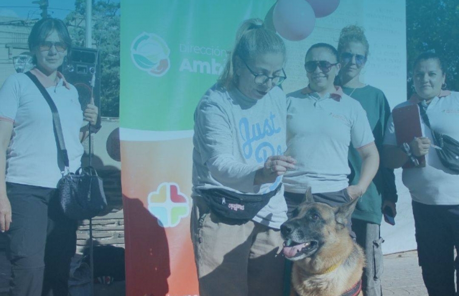 DÍA DEL ANIMAL EN LA PLAZA SARMIENTO