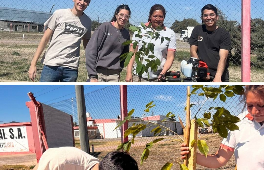 32 NUEVOS LAPACHOS PARA NUESTRO PARQUE INDUSTRIAL NORTE