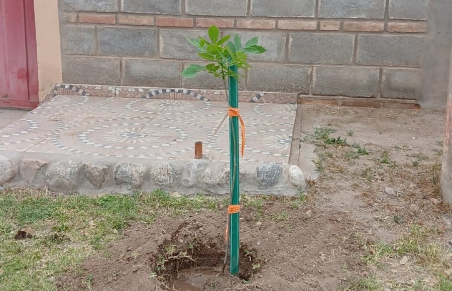 NUESTRA CIUDAD FLORECE