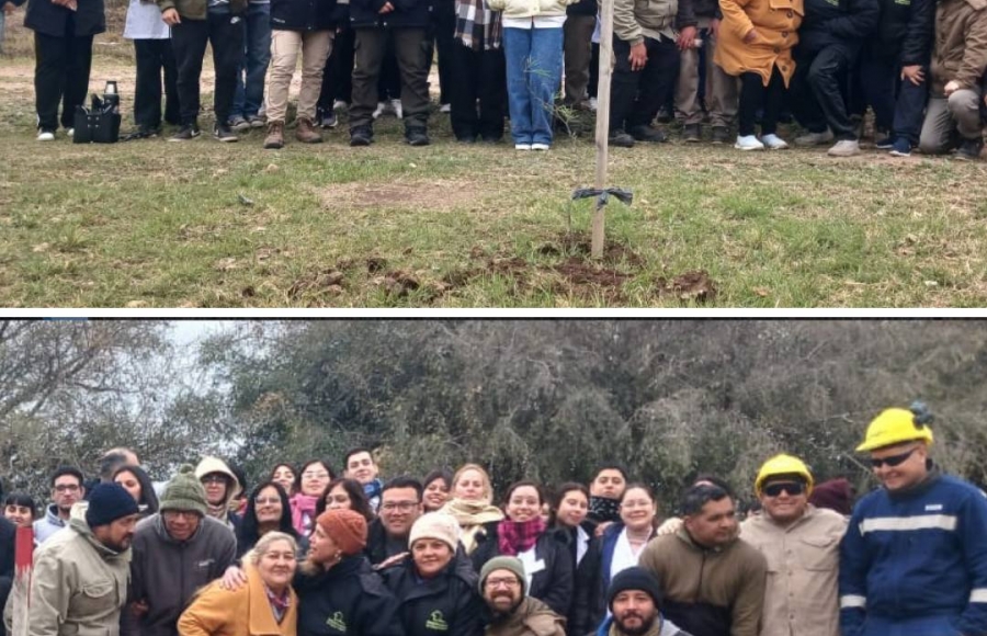 CAMPAÑA DE FORESTACIÓN EN BARRIO LOS ALGARROBOS