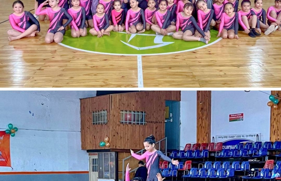 4° ENCUENTRO DEMOSTRATIVO GIMNÁSTICO