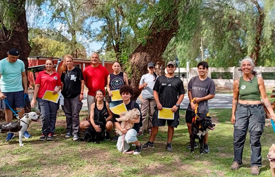 TALLER GRATUITO INTENSIVO DE PASEADOR DE PERROS EN MANADA PROFESIONAL