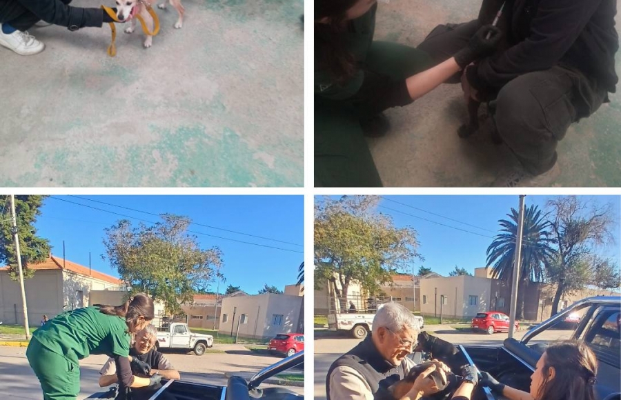 JORNADA DE VACUNACIÓN ANTIRRÁBICA