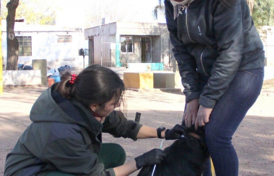 JORNADA DE VACUNACIÓN ANTIRRÁBICA EN BARRIO PAZ