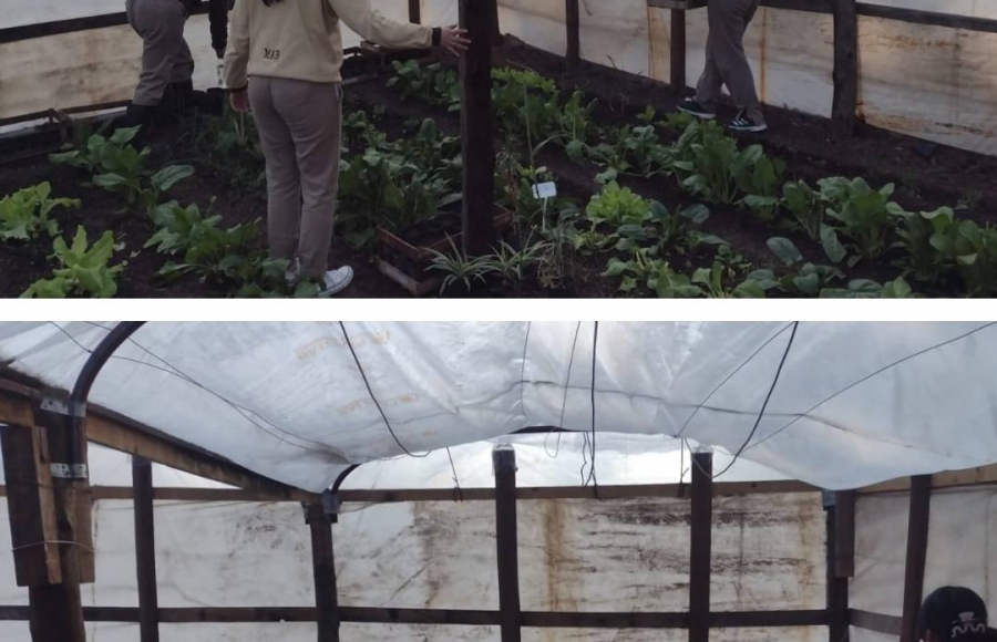 PRÁCTICAS DE ESTUDIANTES DEL IPETYA 53