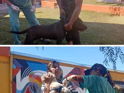 JORNADA DE VACUNACIÓN ANTIRRÁBICA