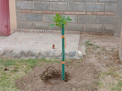 NUESTRA CIUDAD FLORECE