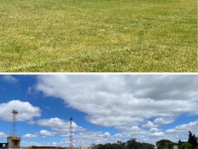 ENCUENTRO DE FÚTBOL INFANTIL EN EL ESTADIO MUNICIPAL