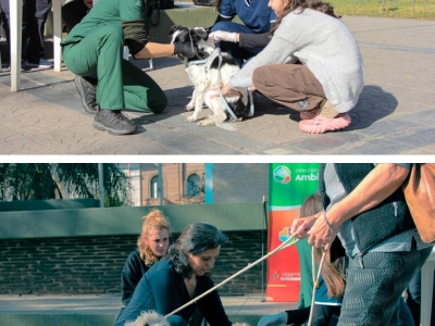 JORNADA DE VACUNACIÓN ANTIRRÁBICA EN PLAZA SARMIENTO