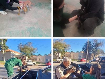 JORNADA DE VACUNACIÓN ANTIRRÁBICA