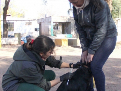 JORNADA DE VACUNACIÓN ANTIRRÁBICA EN BARRIO PAZ