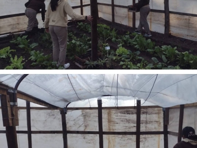 PRÁCTICAS DE ESTUDIANTES DEL IPETYA 53